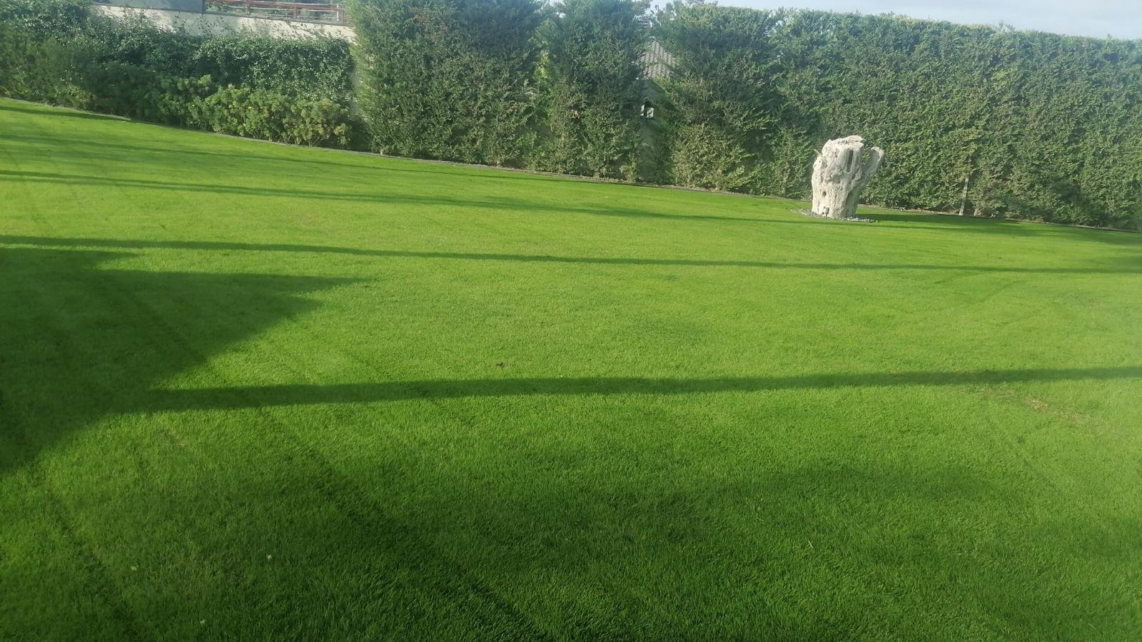 Mirasel Proje Galerisi